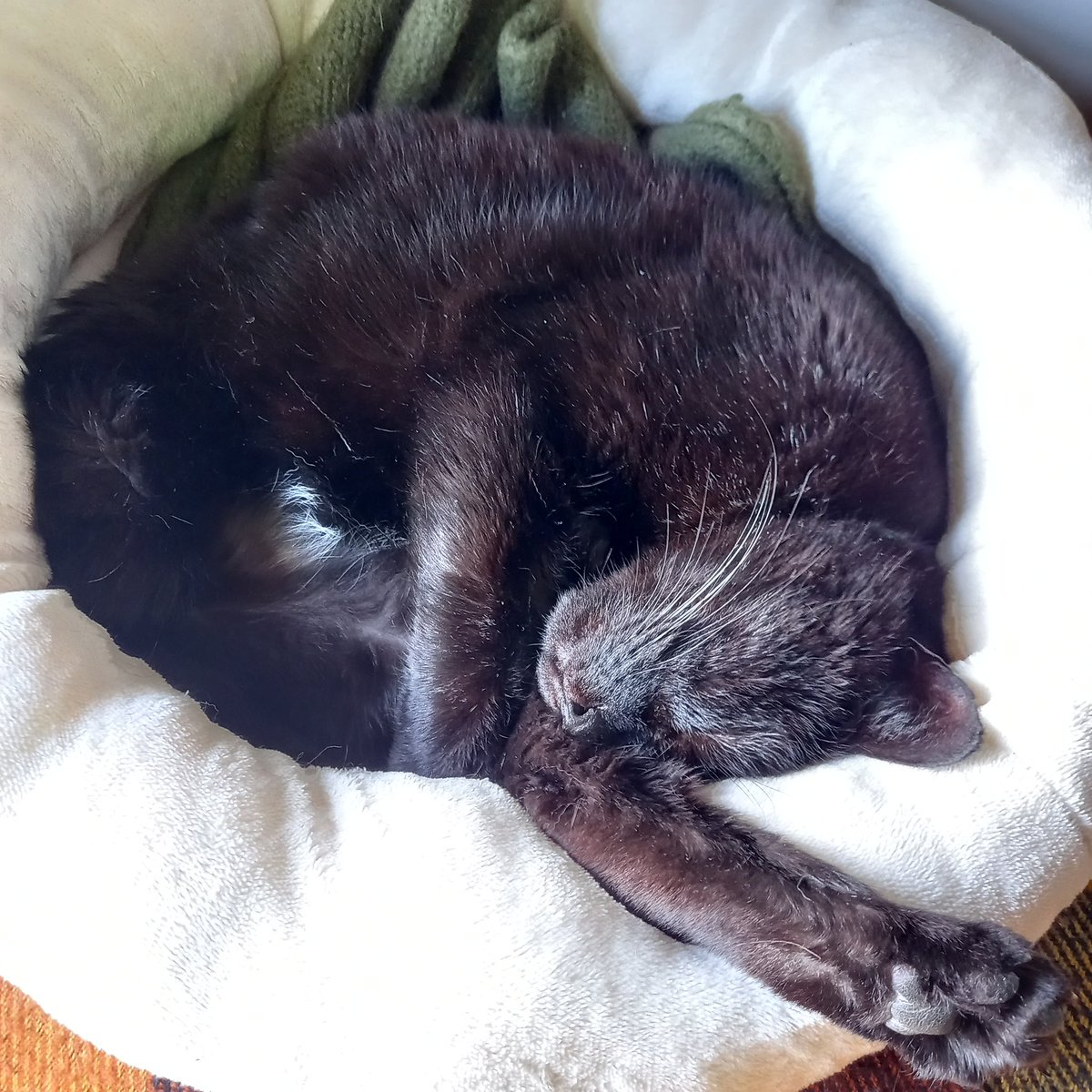 JoannaHarding 🚜🍳🚜😋🚜🥓🧀🧈🥚🥩🥗🥩🥑🥩 tweet media