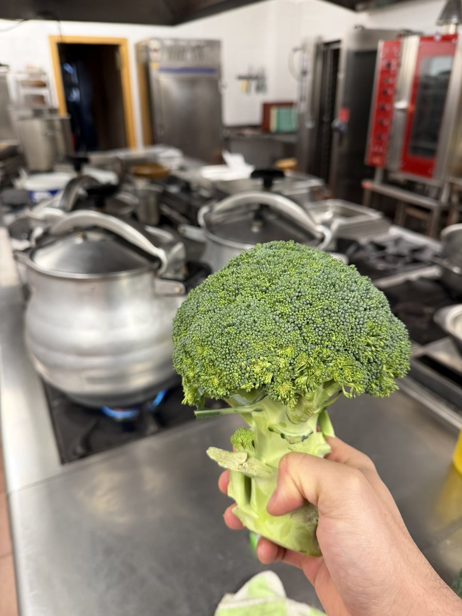 Andoni Sánchez🌾 tweet media