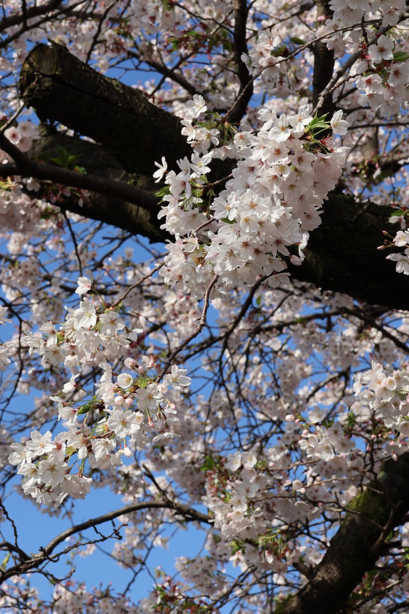 みっちぃ 【みつひろ・mitsu】 tweet media