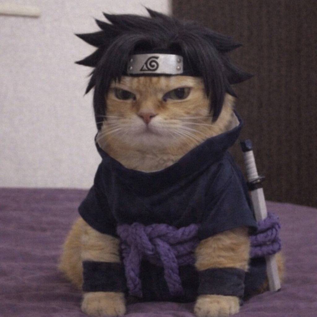 John Wick tweet media