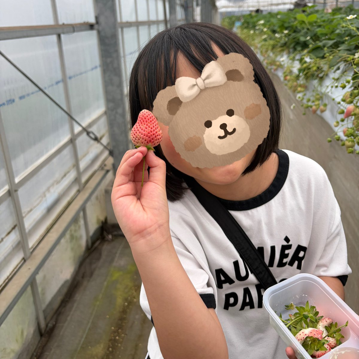 もあ🌼外で働くのをやめたママ tweet media