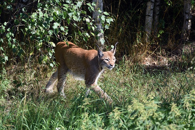 Debbie Adams tweet media