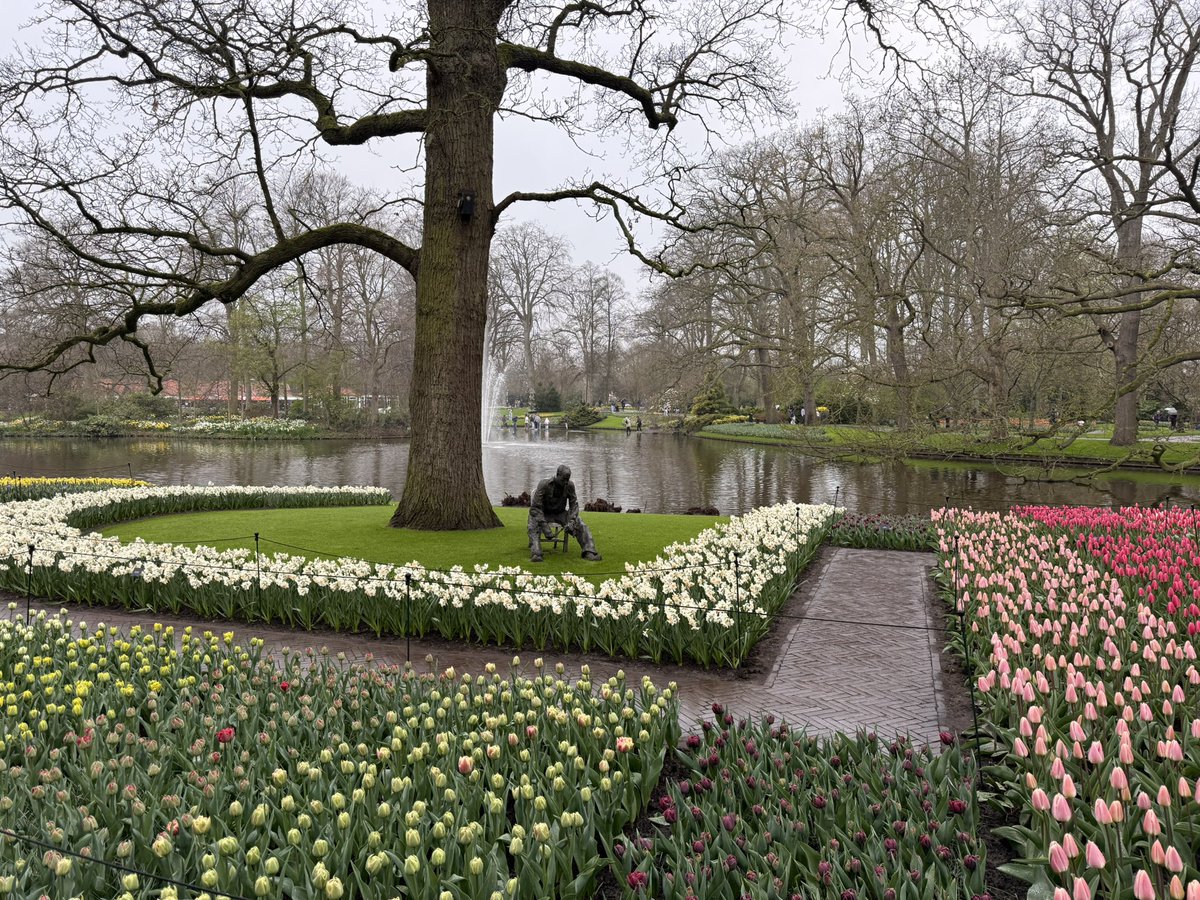 EftelGroen tweet media