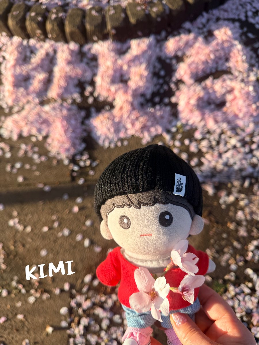 KIMI to 보검 🎹🕊 tweet media