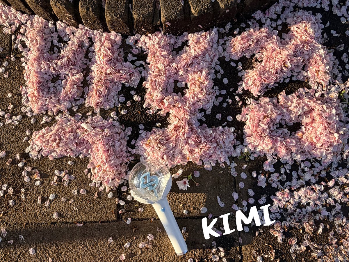 KIMI to 보검 🎹🕊 tweet media