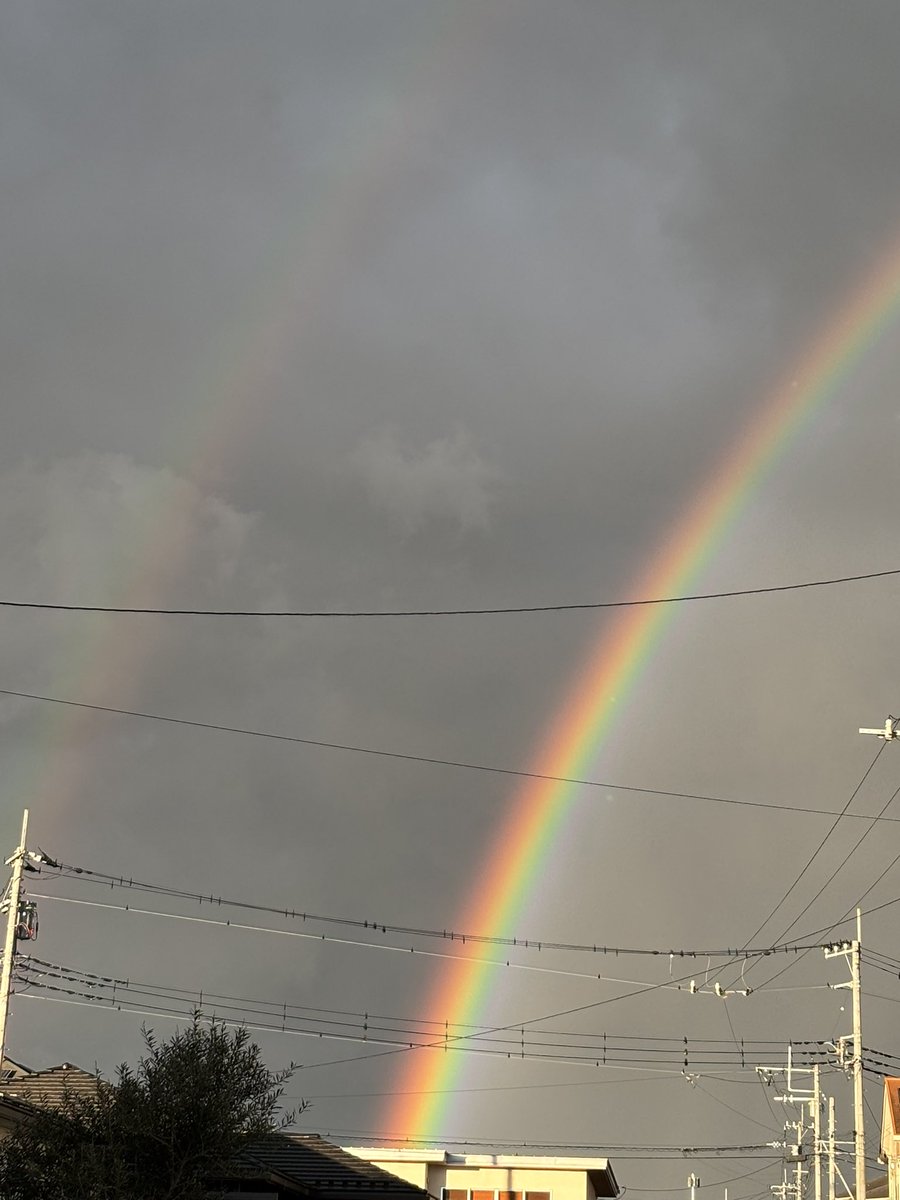 加藤和宏厩舎 tweet media