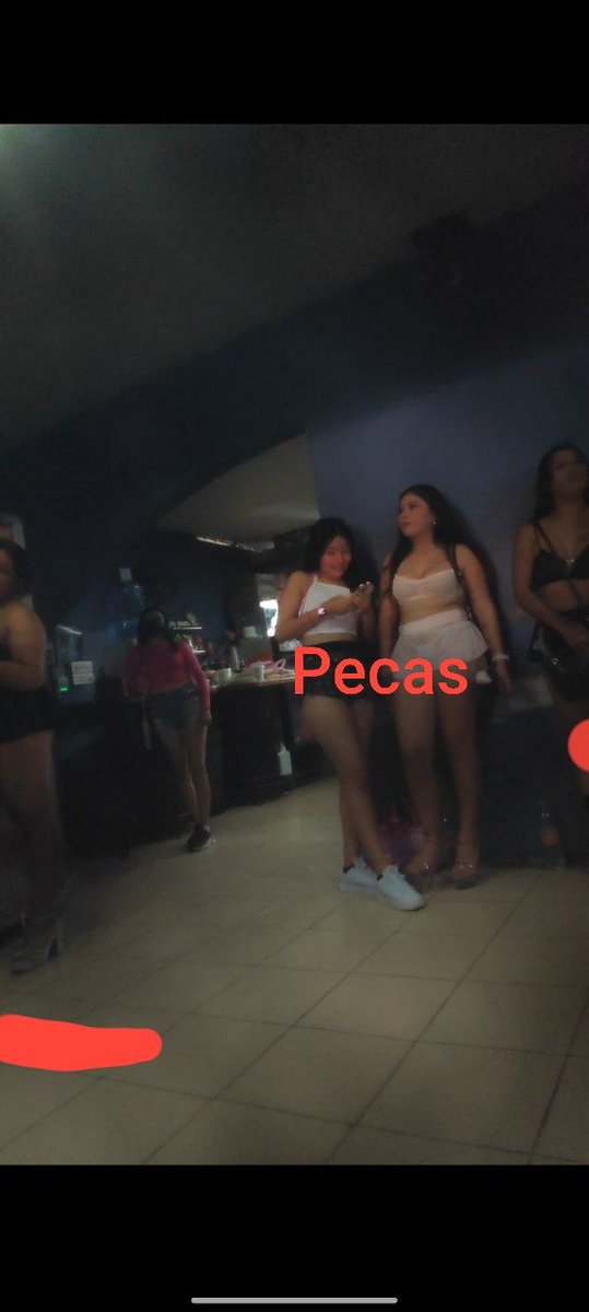 Pecass098 tweet media