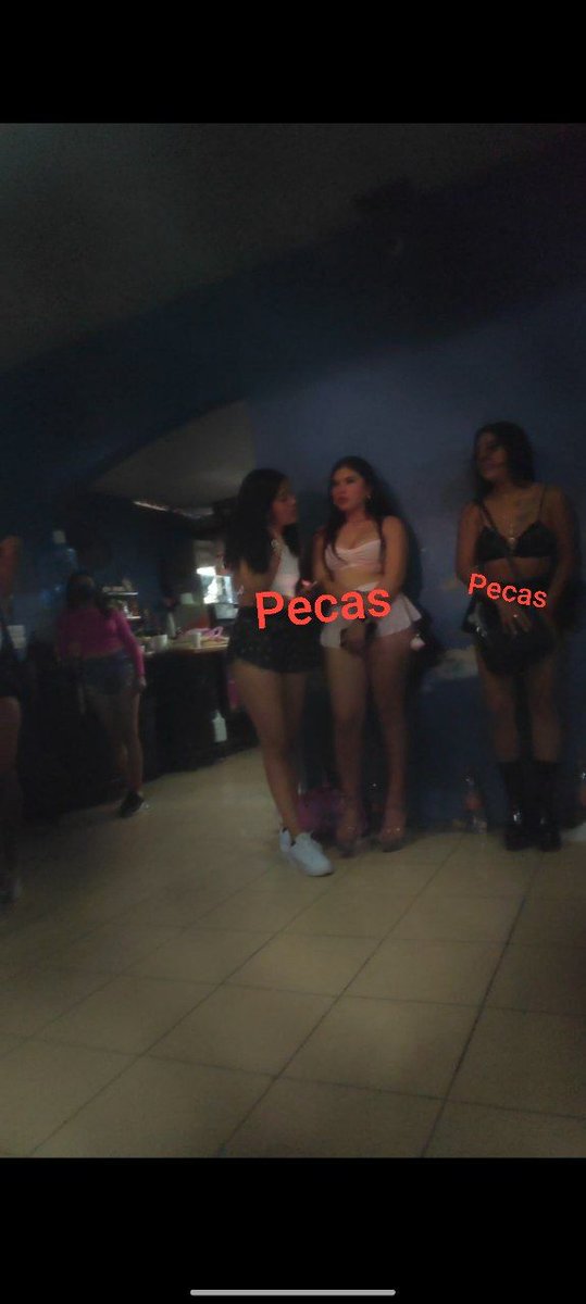 Pecass098 tweet media