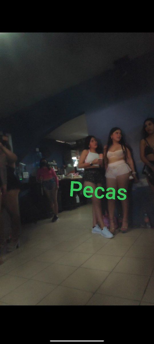 Pecass098 tweet media