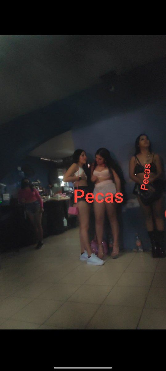 Pecass098 tweet media