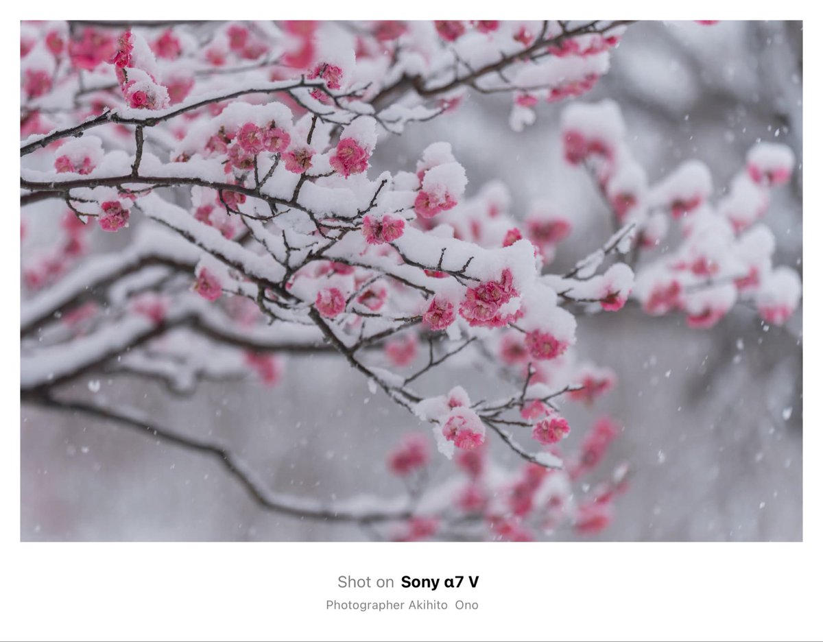 ArtBridge8 tweet media