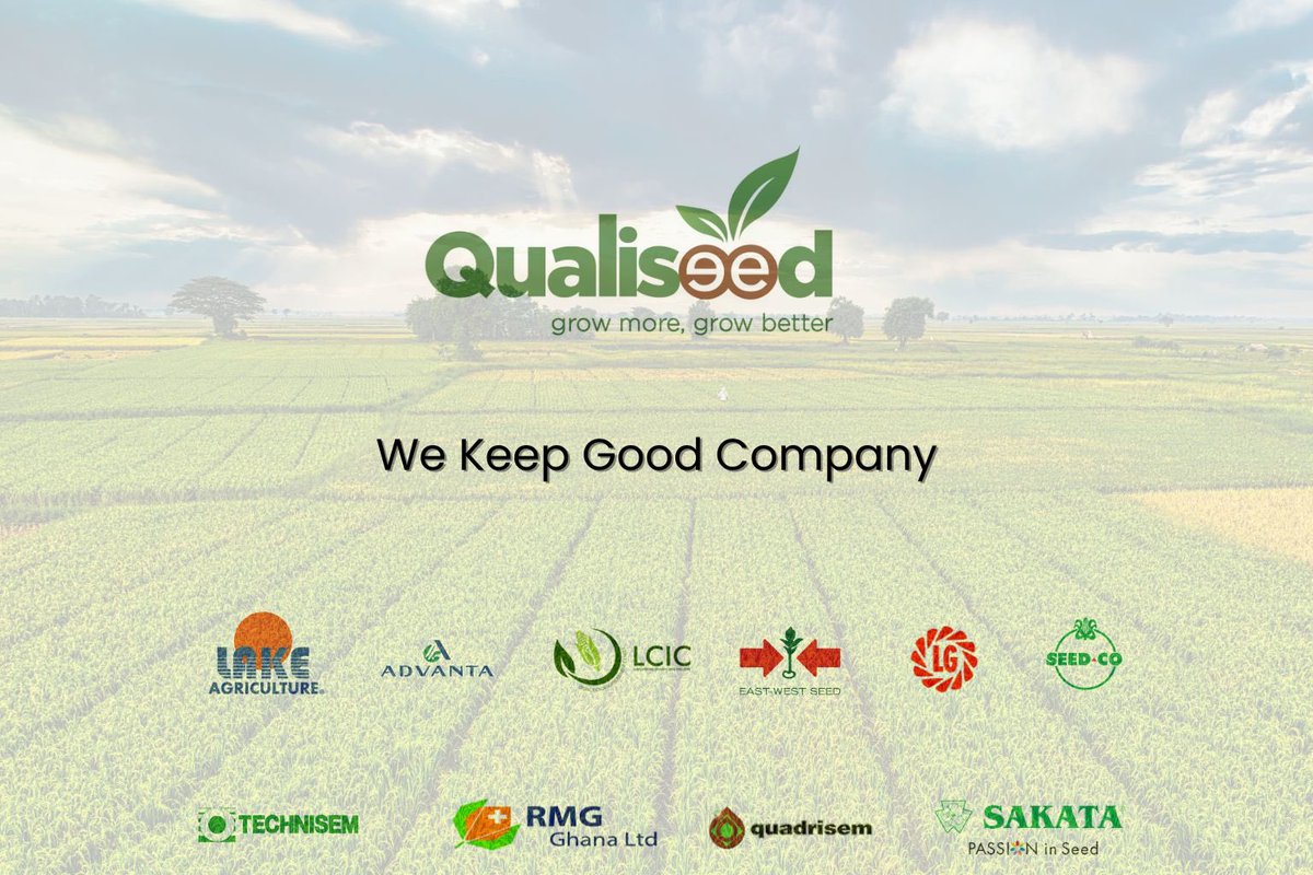 qualiseed's tweet photo. *🚀 HOW IT WORKS*

1️⃣ Choose your seeds
2️⃣ Pay 30% deposit
3️⃣ Complete payment over time
4️⃣ Receive your seeds before season

Signup👇🏾
https://t.co/AUjQvyj9EU

#RealSolutions
#Ghana
#Agriculture 
#Seedfinacing
#innovativefinance
#HappyNewMonth https://t.co/wwBKS1fIF2