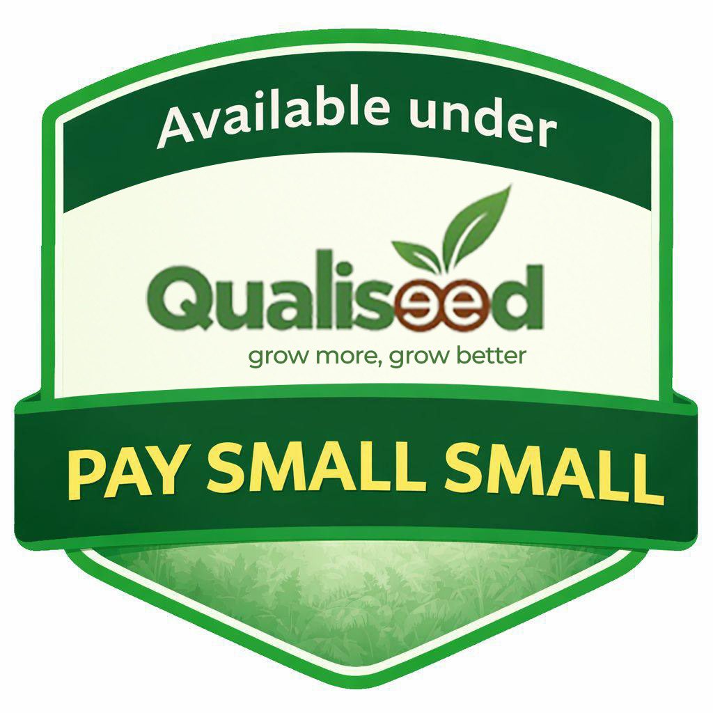 qualiseed's tweet photo. *🚀 HOW IT WORKS*

1️⃣ Choose your seeds
2️⃣ Pay 30% deposit
3️⃣ Complete payment over time
4️⃣ Receive your seeds before season

Signup👇🏾
https://t.co/AUjQvyj9EU

#RealSolutions
#Ghana
#Agriculture 
#Seedfinacing
#innovativefinance
#HappyNewMonth https://t.co/wwBKS1fIF2