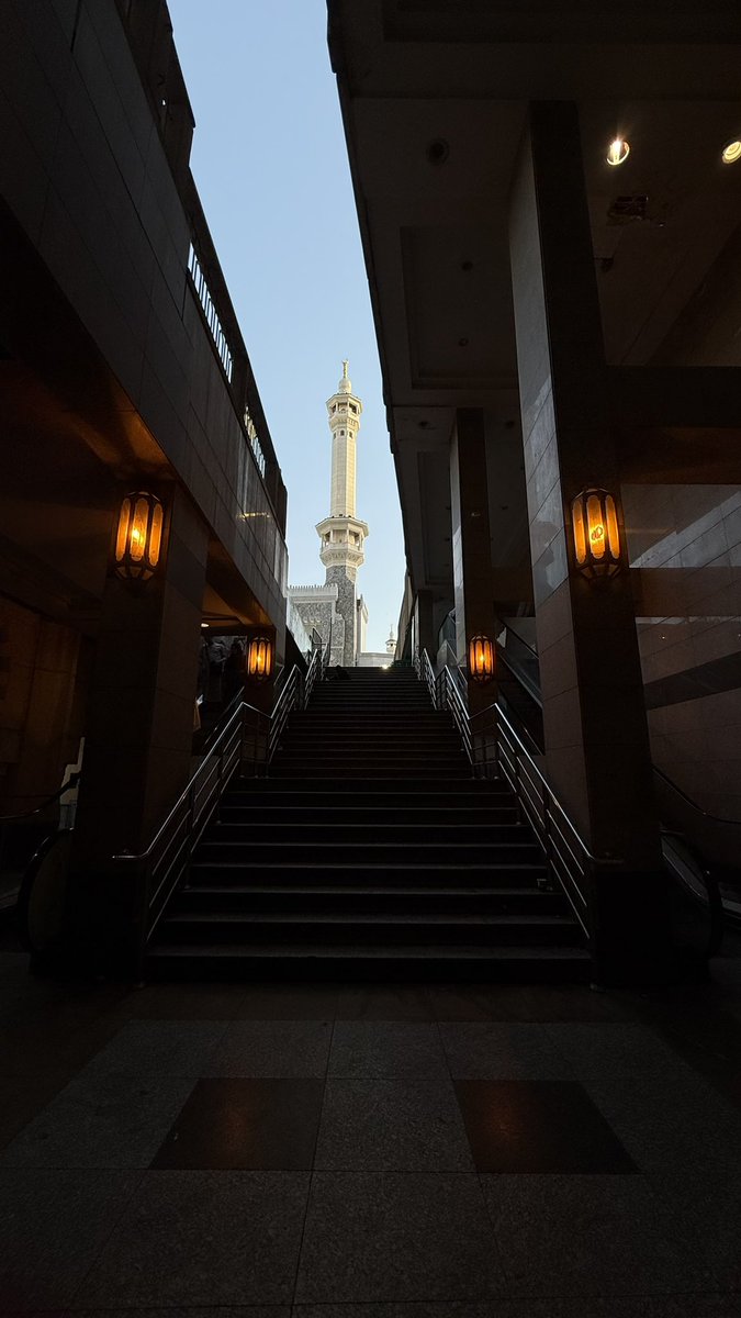 صَفاء . tweet media