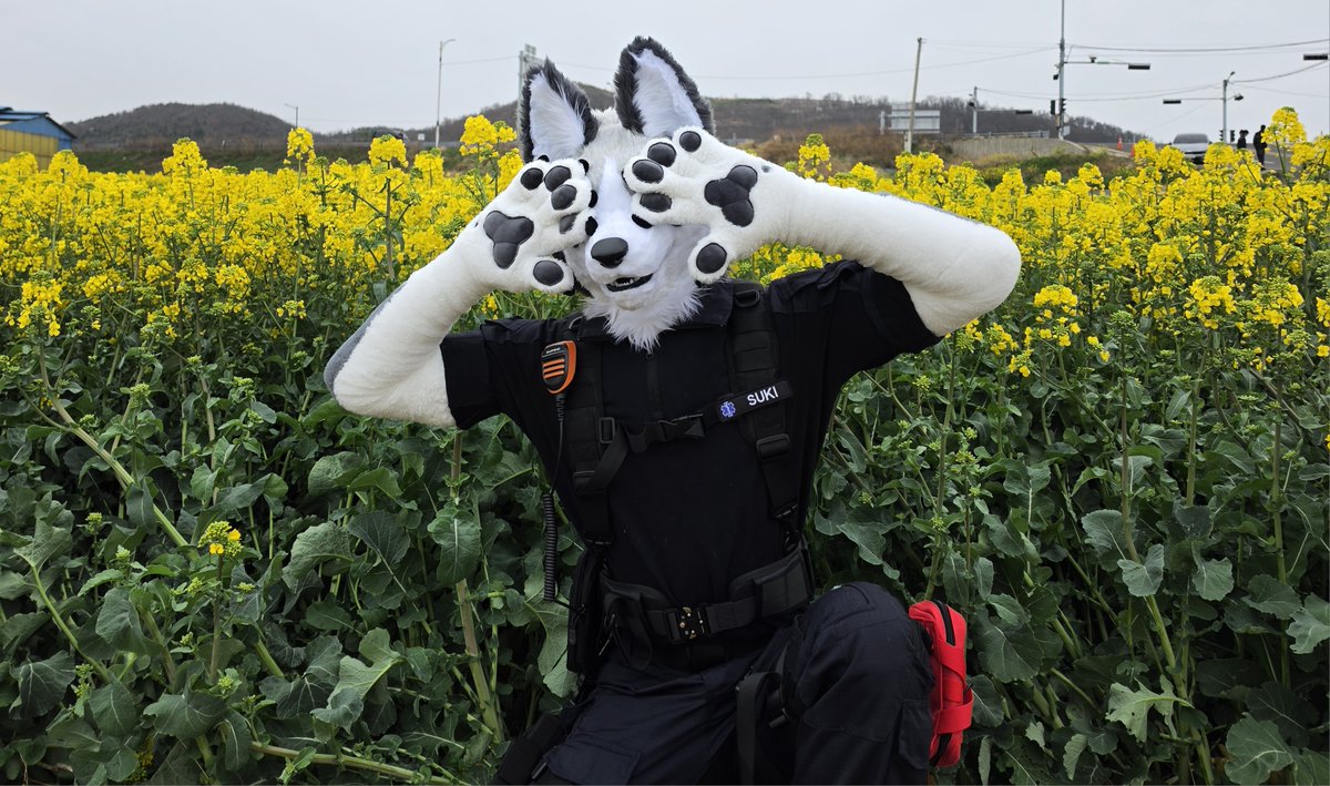 바호 & 슥이 | Bajo & Suki ➡️ Furst Class 4월 tweet media