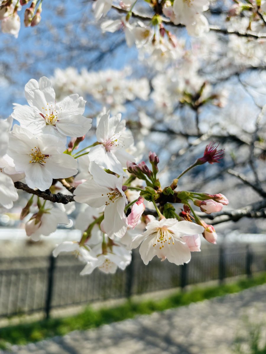 らいむぎ🌾🥨ドイツから日本に帰国しました tweet media