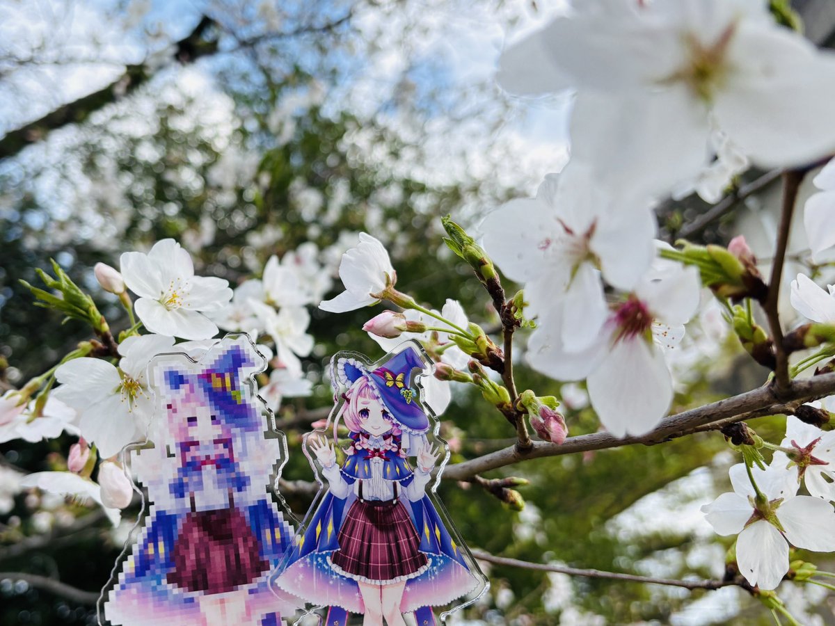 らいむぎ🌾🥨ドイツから日本に帰国しました tweet media