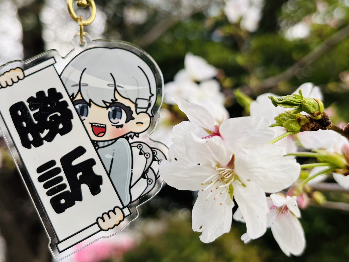 らいむぎ🌾🥨ドイツから日本に帰国しました tweet media