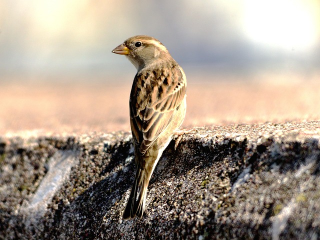 Jason Patton tweet media