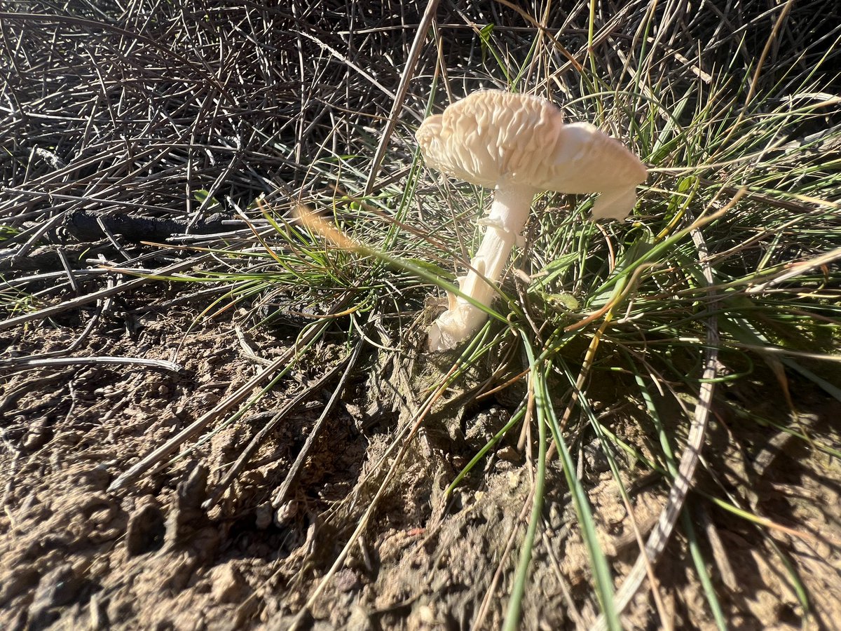 Михаило ☦️ tweet media