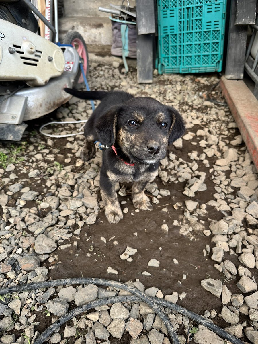 ともぞー©️ tweet media