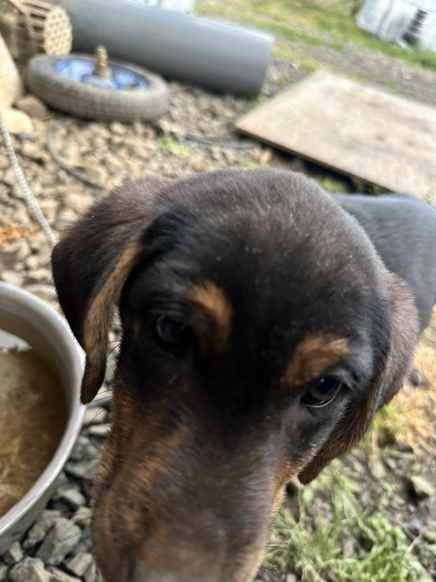 ともぞー©️ tweet media