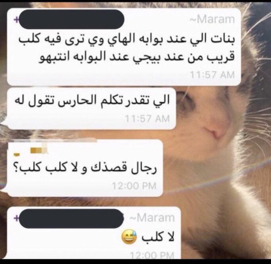 𝗦𝗼𝗵𝗮 tweet media