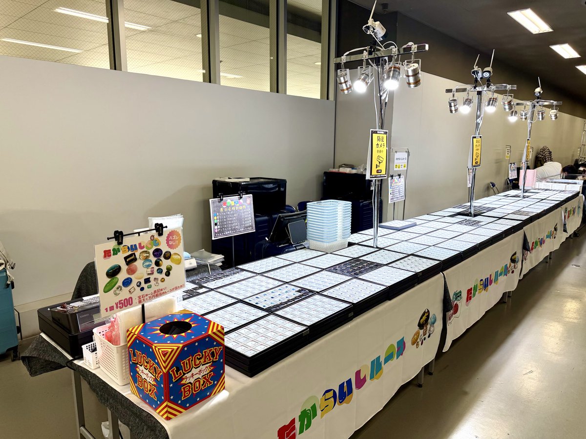 たからいしルース tweet media