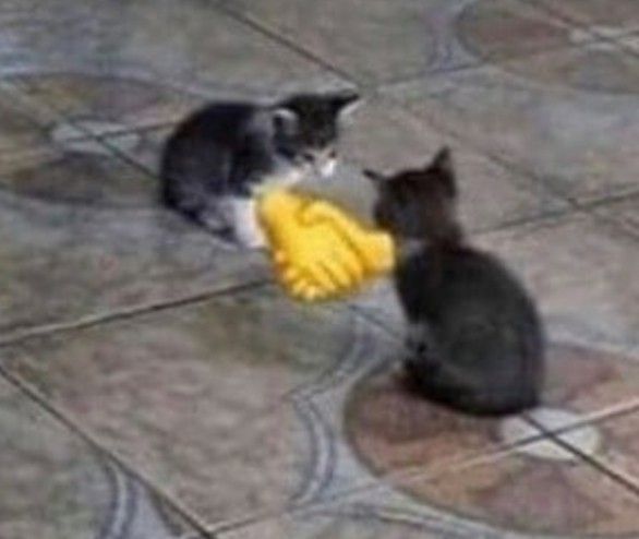 Hamad Ahmed tweet media