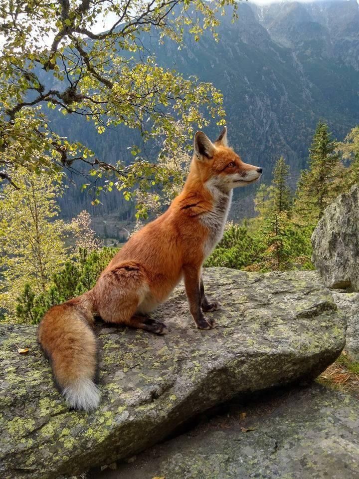 Balázs Doryphoros 🌴 tweet media