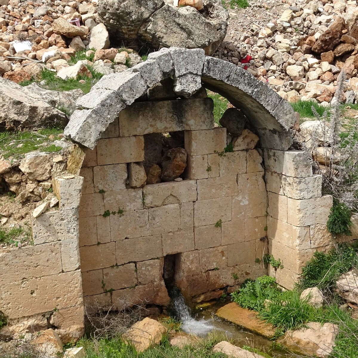 Boşuna Tıklama tweet media