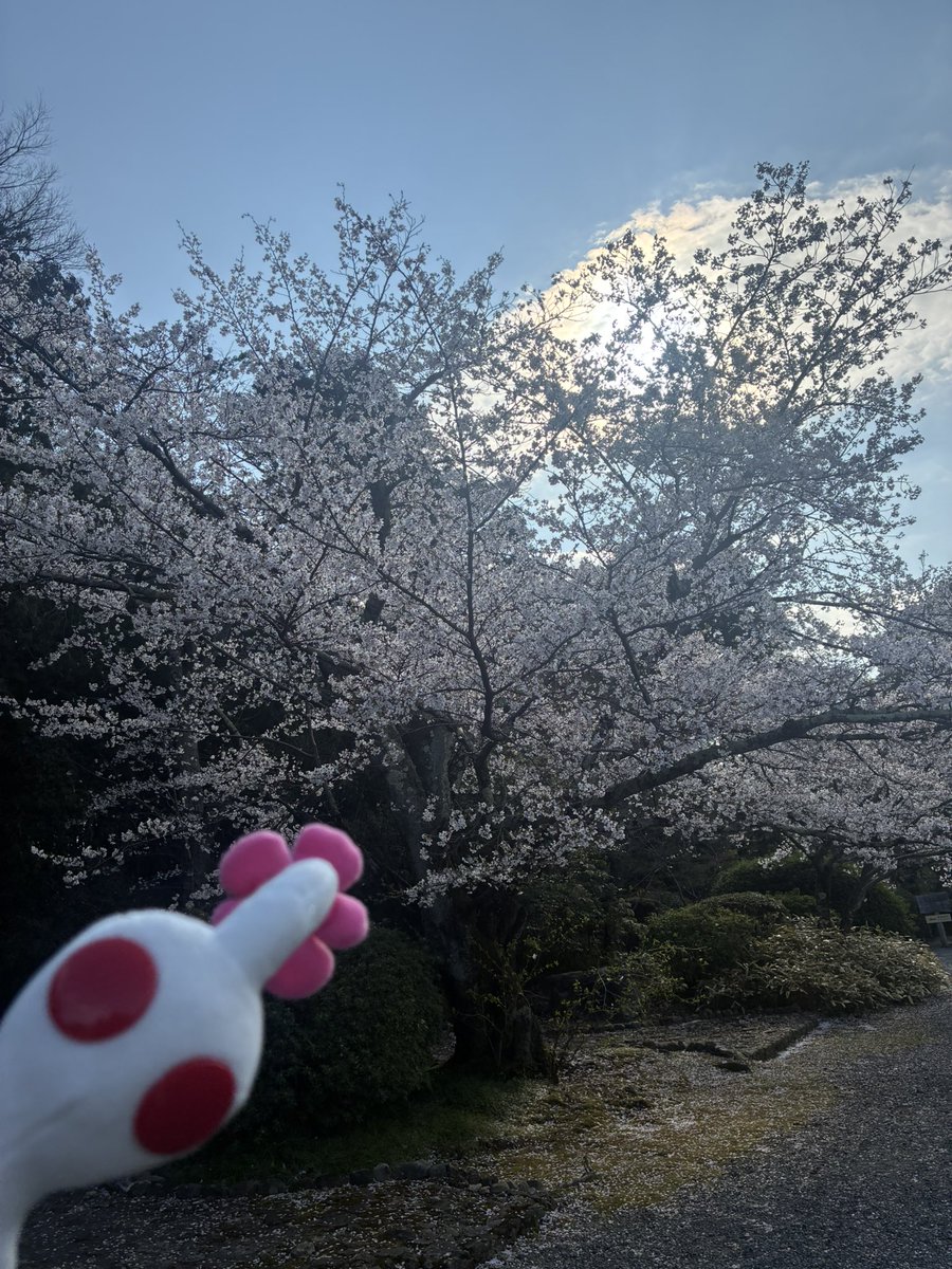 貮七(にな) tweet media