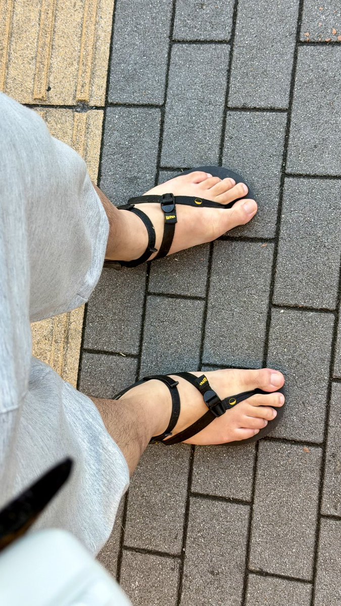 SHOHEY 쇼헤이 tweet media