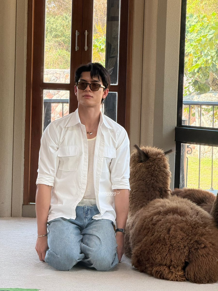 What🐻🐧 tweet media