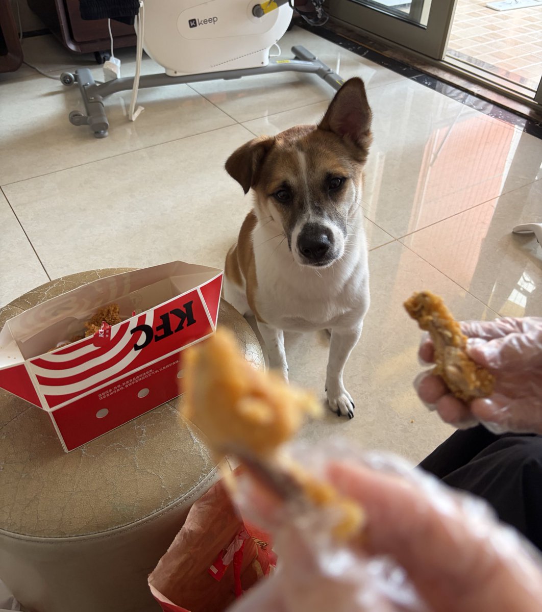 NataliyaRose tweet media