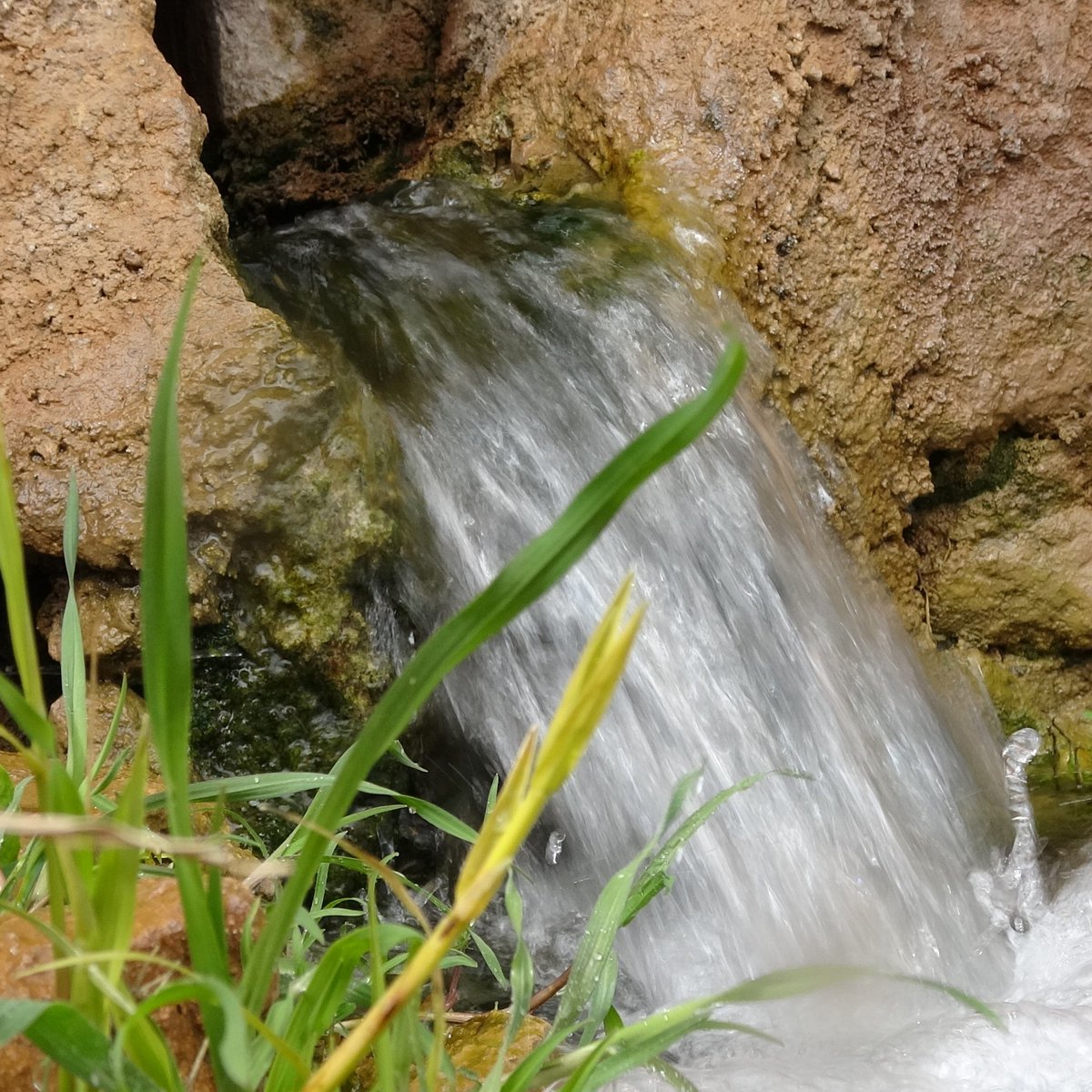 Boşuna Tıklama tweet media