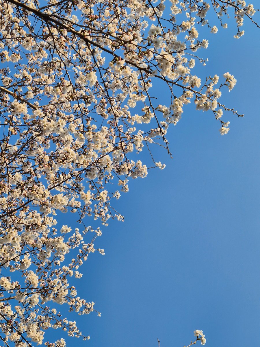 추니추니 입춘이🎗 tweet media