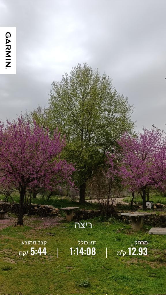 Eitan D tweet media