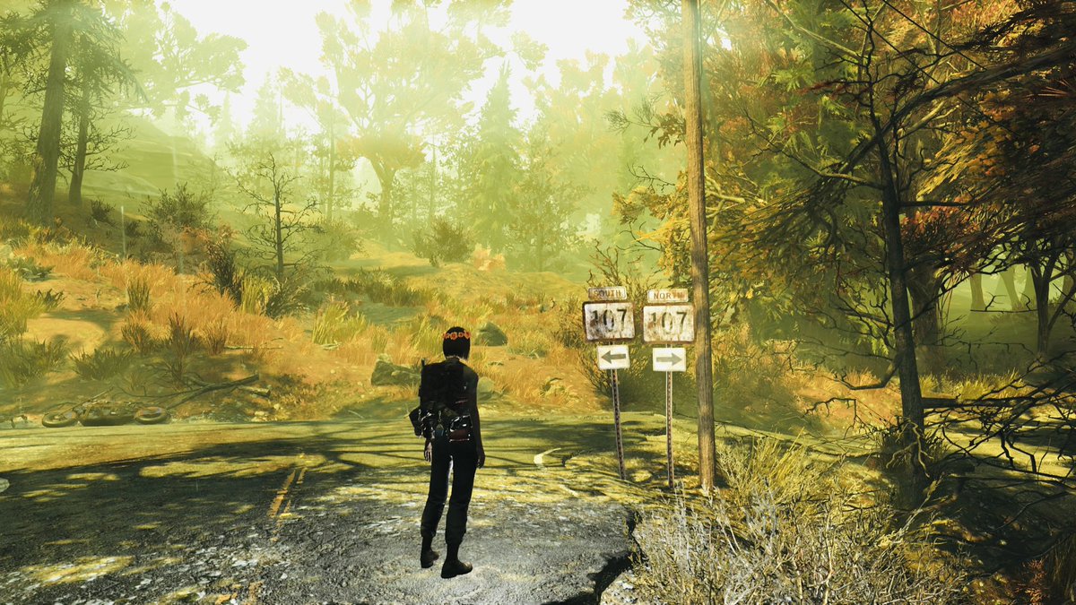 Greentea tweet media