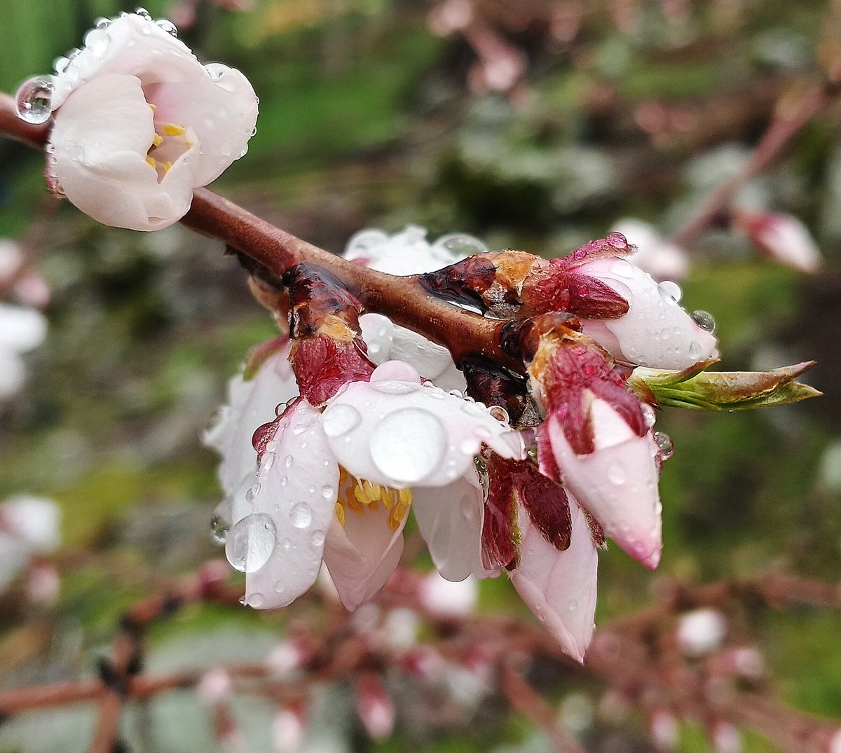 semra🎈 tweet media