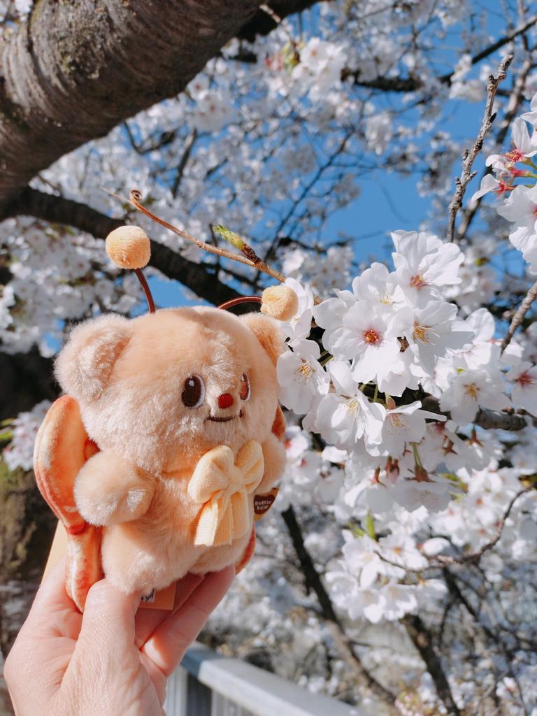 たかこ💙 tweet media