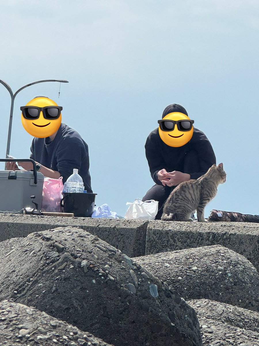 難民こうた tweet media