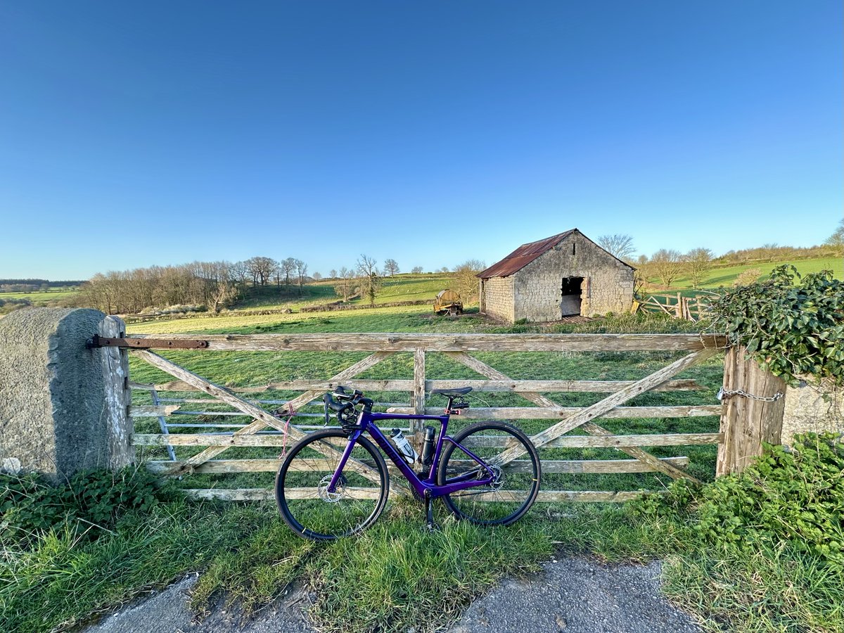 ajdc123's tweet image. Signs of spring on today’s early morning ride - daffys, lambs, woodpeckers and the first bluebells of the season spotted. Nearly taken out by a hedgehog crossing the road too! #Day2 #30DaysOfBiking 🚴‍♀️