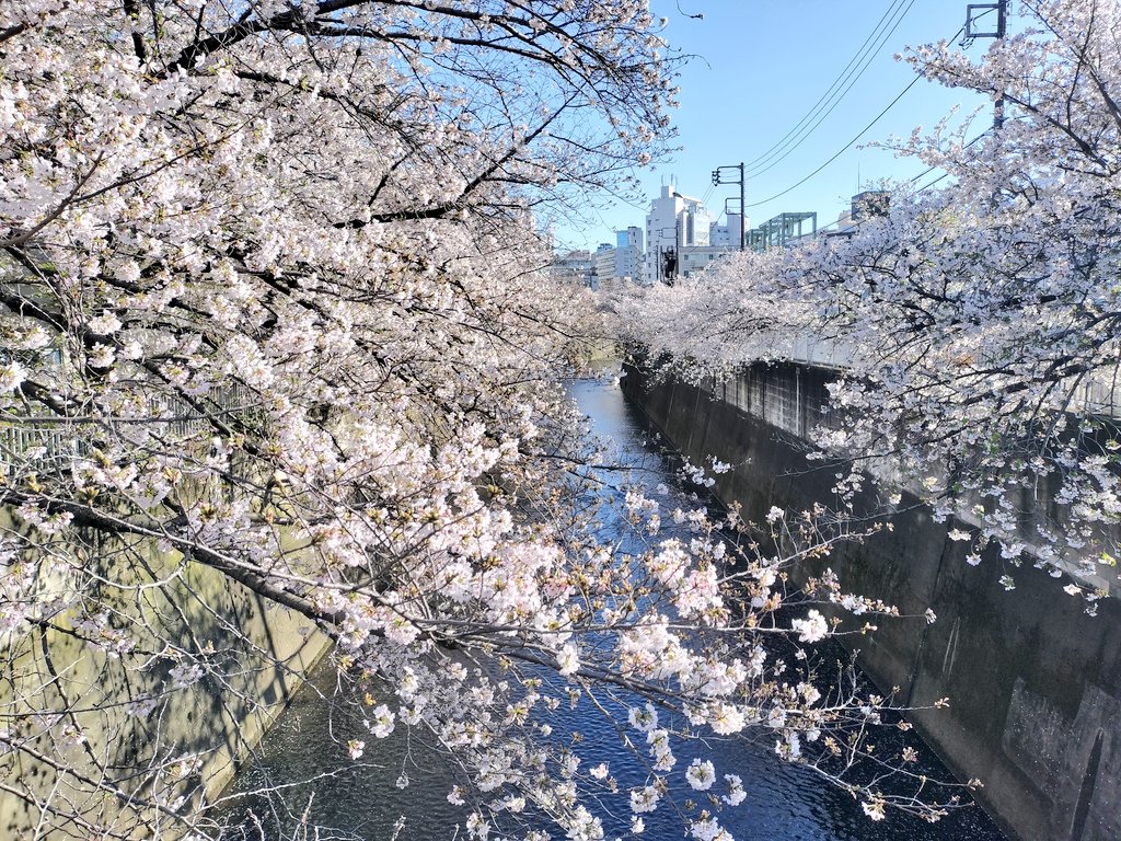 たかこ💙 tweet media