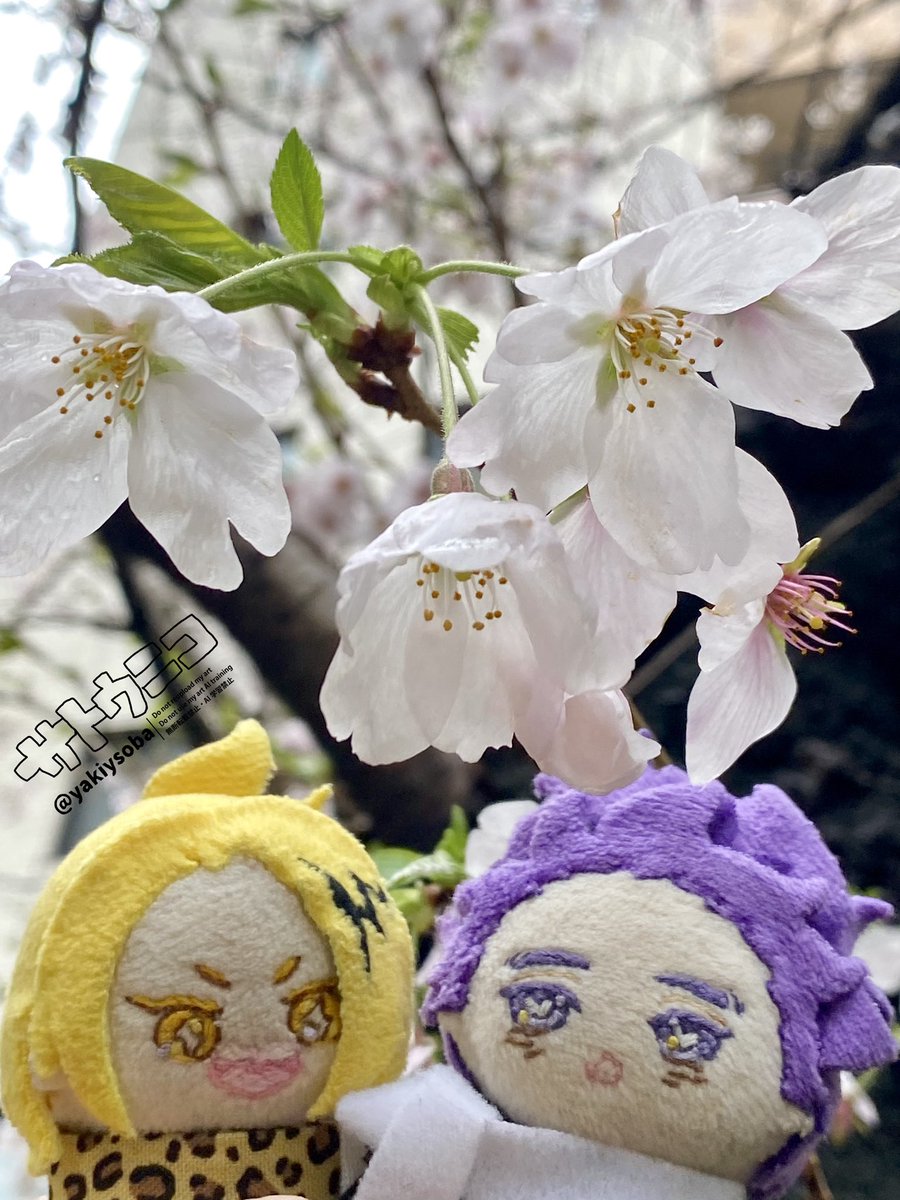 サトウ tweet media