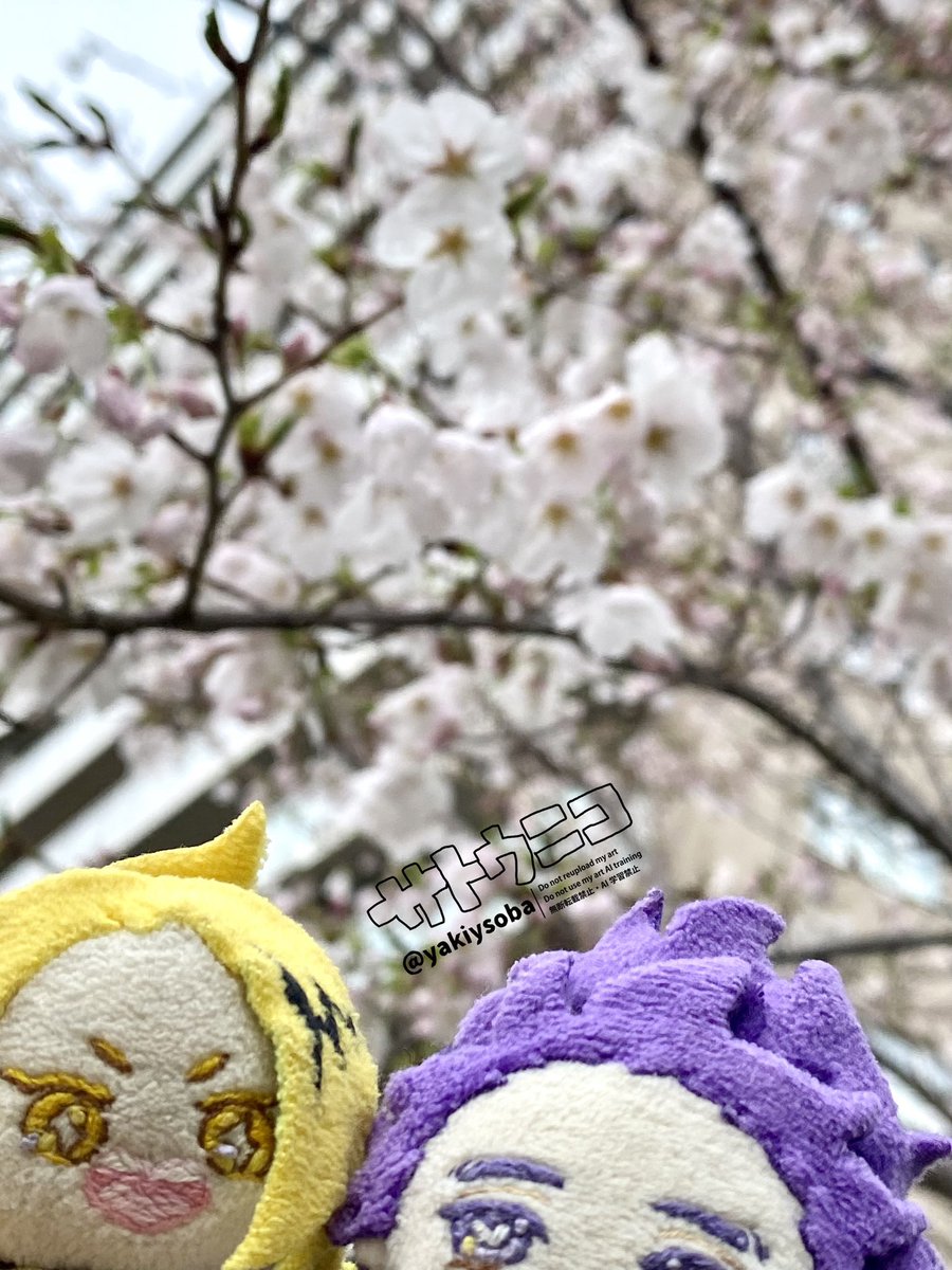 サトウ tweet media