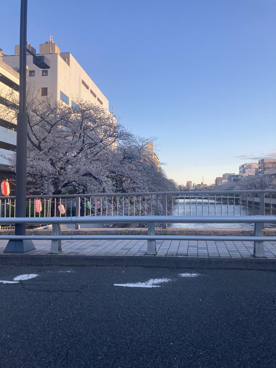 ゆうきゅー🦌🌟 tweet media