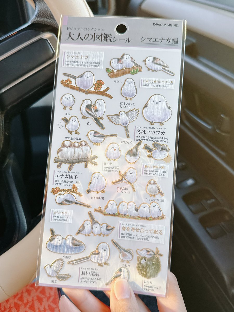 ﾟ+☆･ωpびーぬq) tweet media