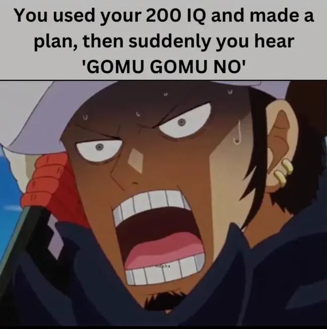 One Piece Daily tweet media