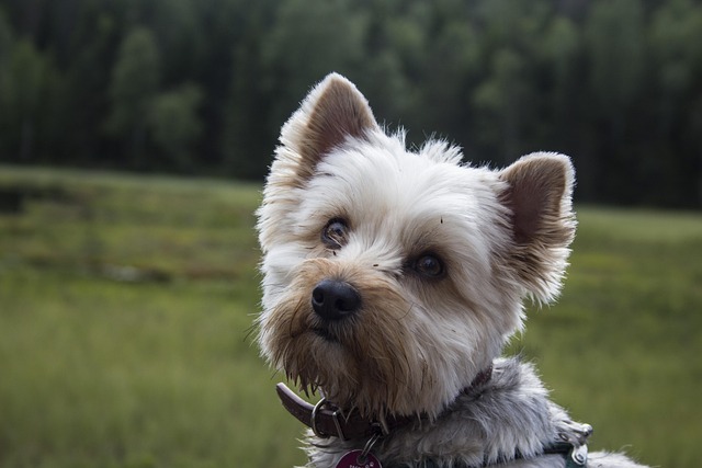 Tammy Thomas tweet media